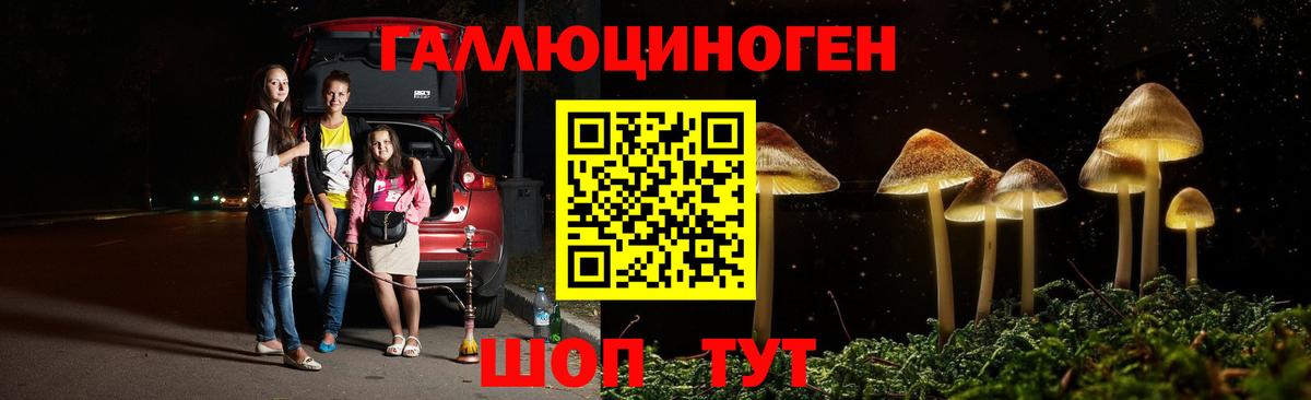что такое   Псилоцибиновые грибы Cubensis  Галлюциногенные грибы MAGIC MUSHROOMS  Вход с VPN  Красногорск 